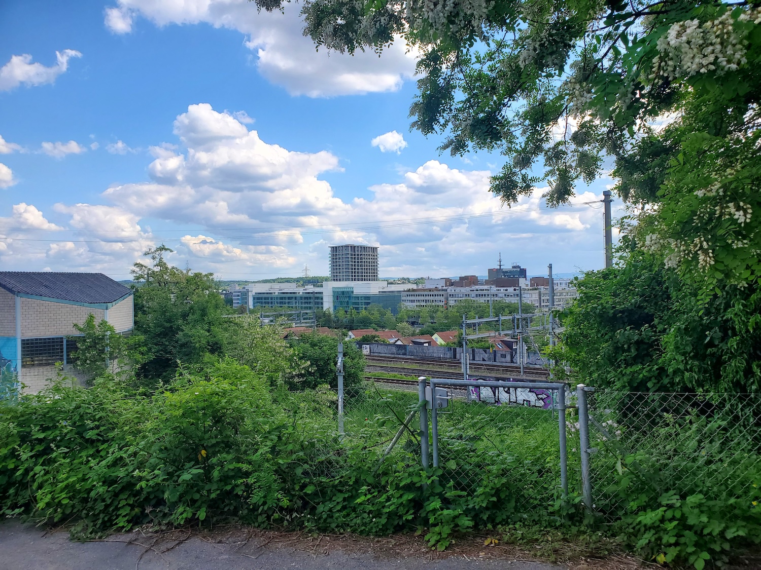 Blick-vom-Kosakenweg