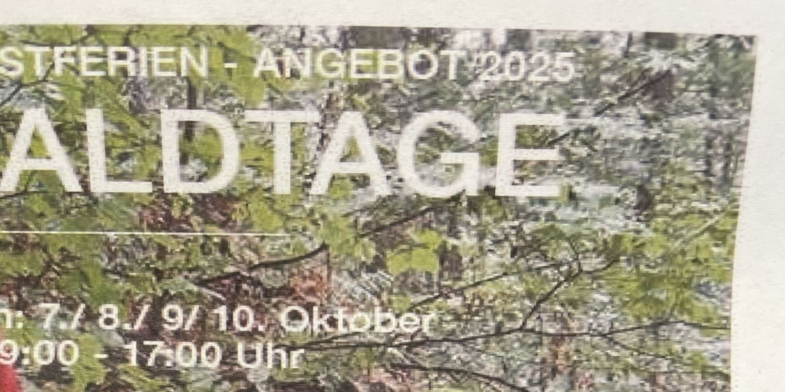 a61a3c048fb7749532c55ef3590545a05a96c860r0-bFnZ5s